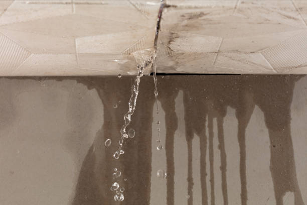 Professional Burst Pipe Cleanup technician working in Bernardston, MA